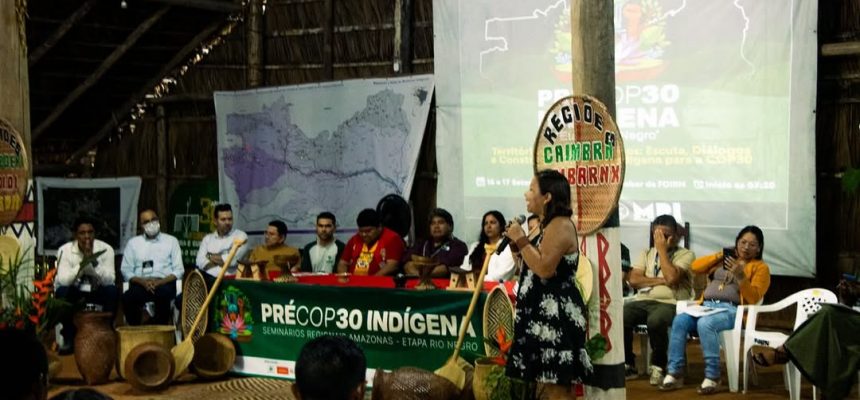 A Pré-COP30 em São Gabriel da Cachoeira, na região do Alto Rio Negro, reuniu lideranças indígenas, autoridades e representantes da sociedade civil organizada. Integraram os debates, além do MPI e da FOIRN, a Articulação das Organizações e Povos Indígenas do Amazonas (APIAM), a Coordenação das Organizações Indígenas da Amazônia Brasileira (COIAB), Articulação dos Povos Indígenas do Brasil (APIB), entre outras organizações.